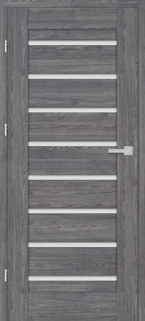 kamelia-1-koris-grafit-premium